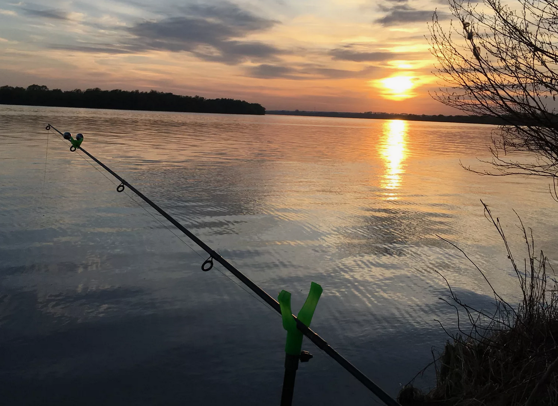 Увлекательная Рыбалка на Оке: Ловля в Июне 2024 года 🎣 | Рыбацкие Тропы |  Дзен