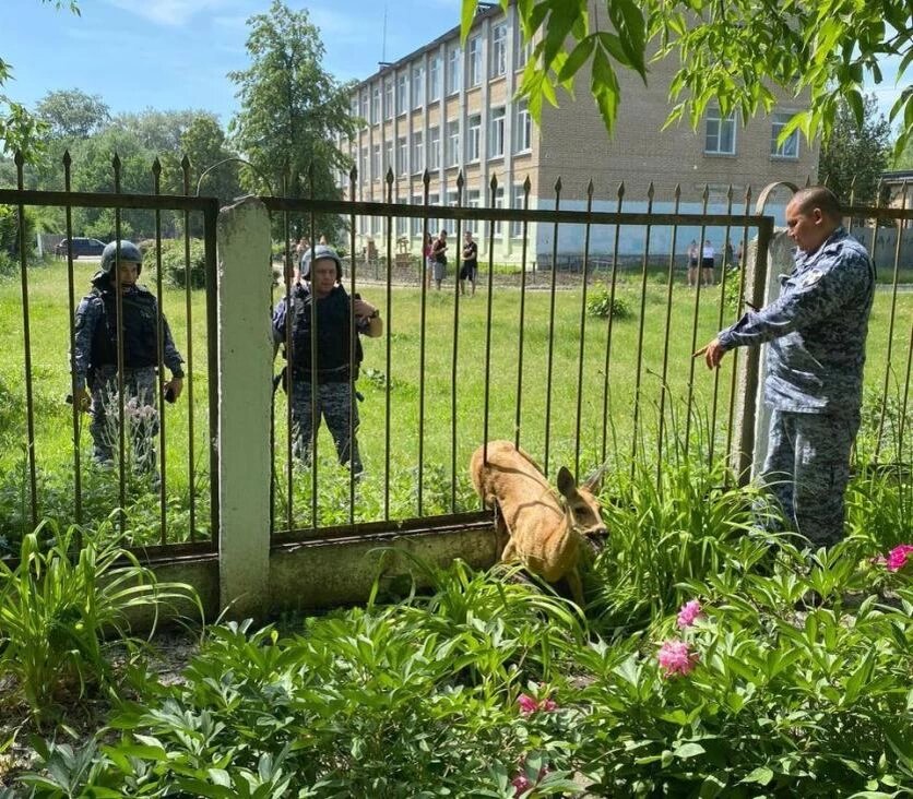 Фото: Министерство экологии Челябинской области