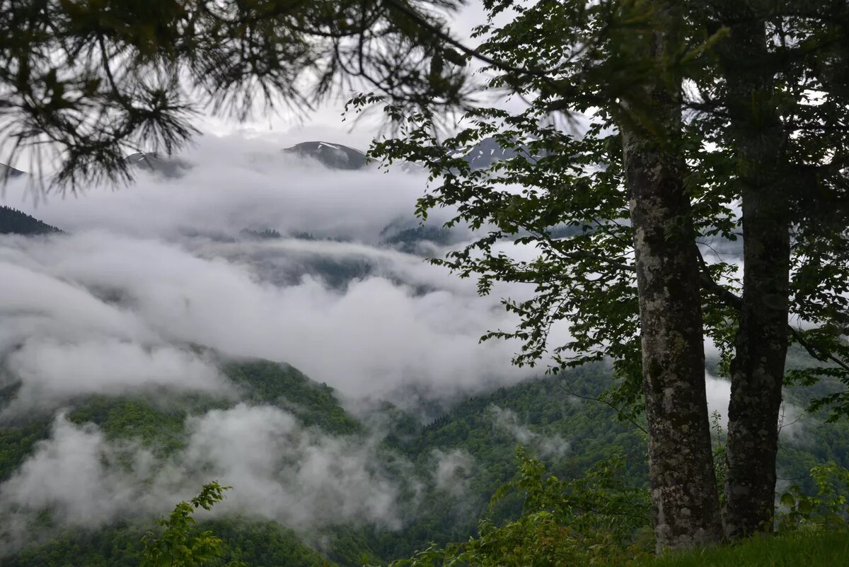 © Sputnik / Игорь Онучин