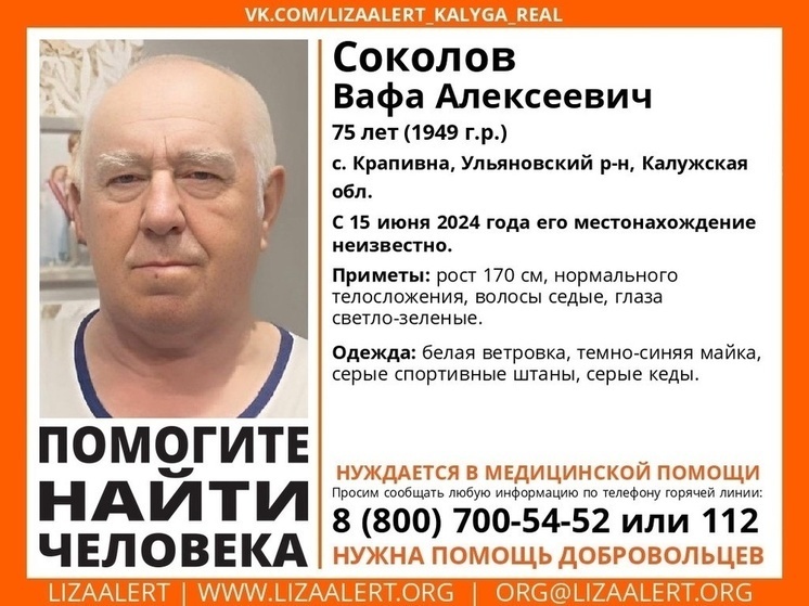     Фото: "Лиза Алерт Калуга"