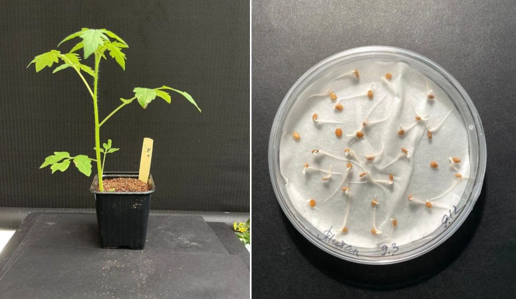    Фото: НЦМУ «Агротехнологии будущего»