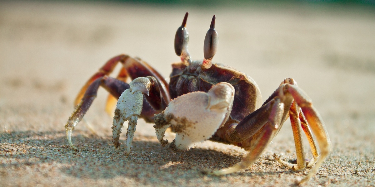 Фото: freepik.com