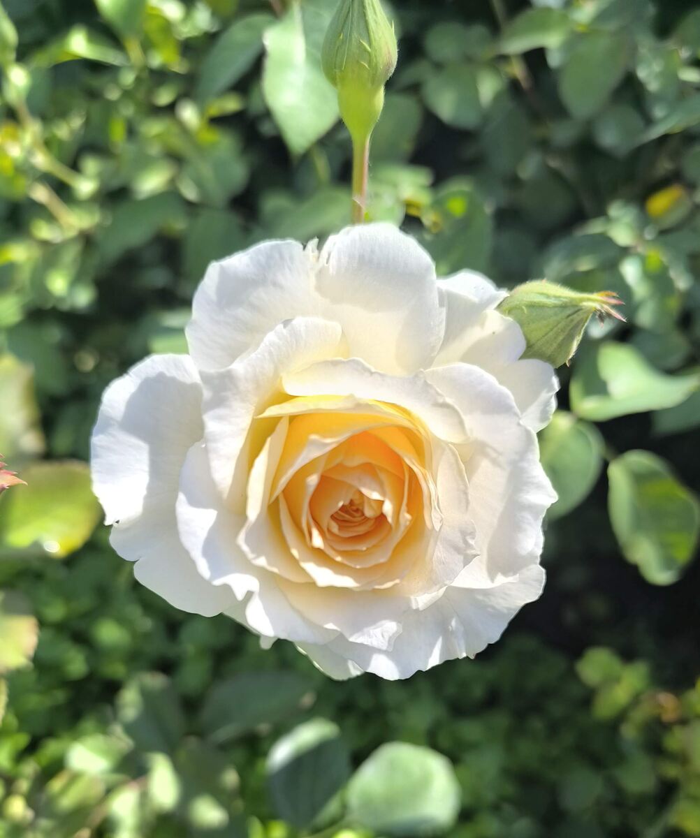 фото Татьяны