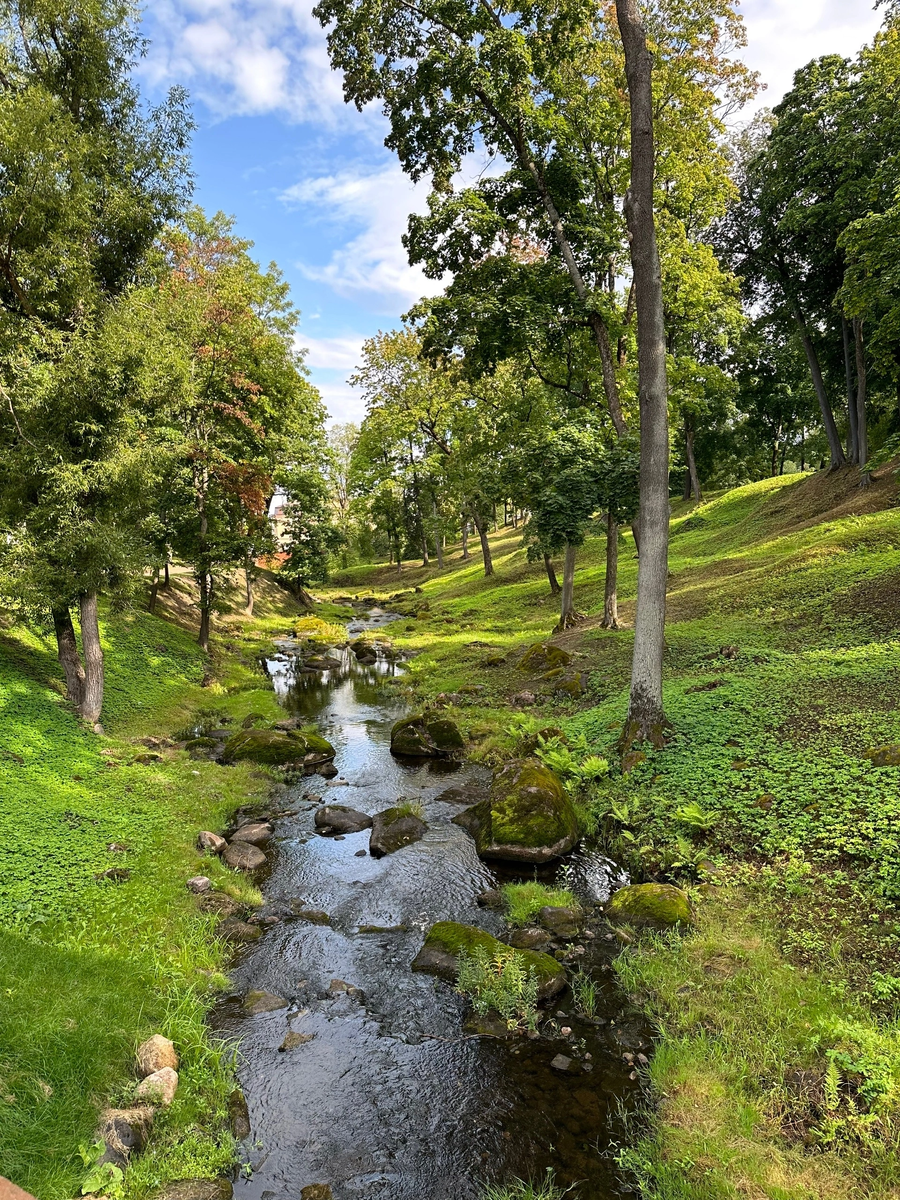 Влюбляешься сразу, как только входишь в ворота.