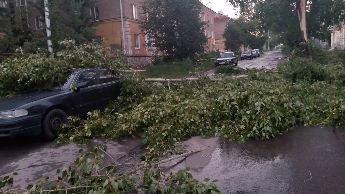     Автор: Айсылу Валиева Источник: Соцсети