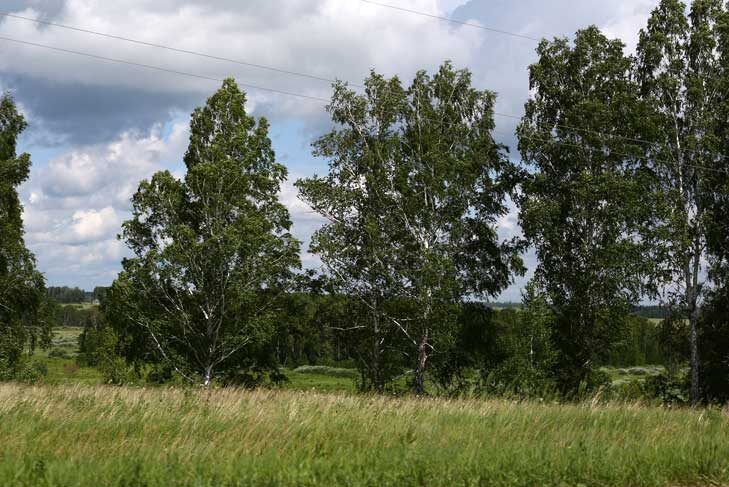 © Фото VN.ru.📷
