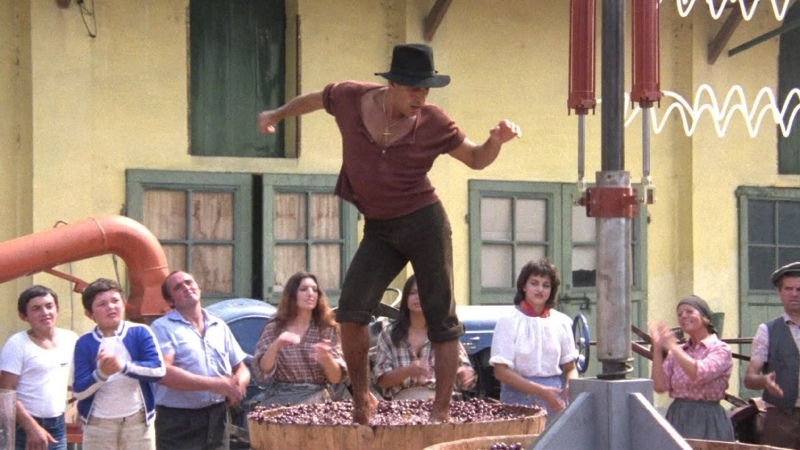 Фото из свободных источников