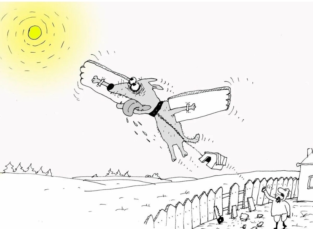 Картинка из интернета. Про меня.