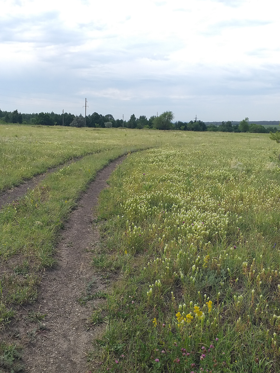 Фото 17.06.2024г.