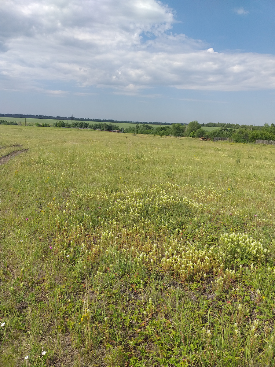 Фото тоже сегодня