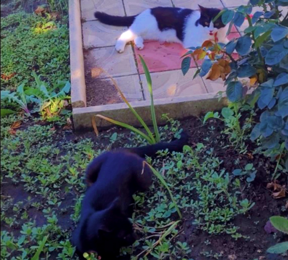 Папа и сынок на прогулке