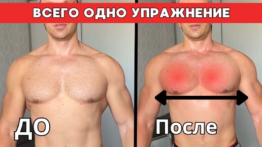 Нужно всего одно упражнения, чтобы накачать мощные грудные мышцы