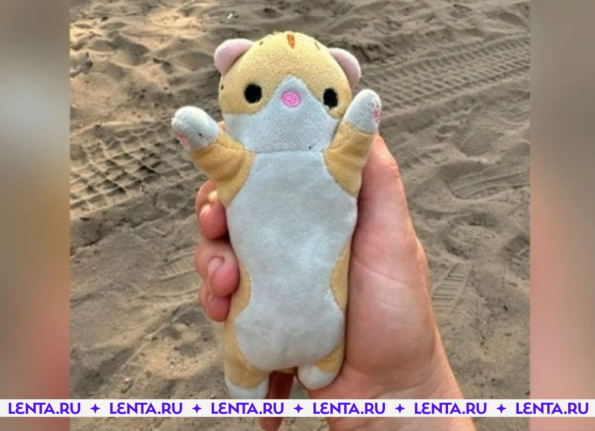 Фото: соцсети