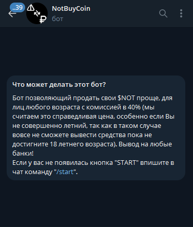 Первый запуск бота