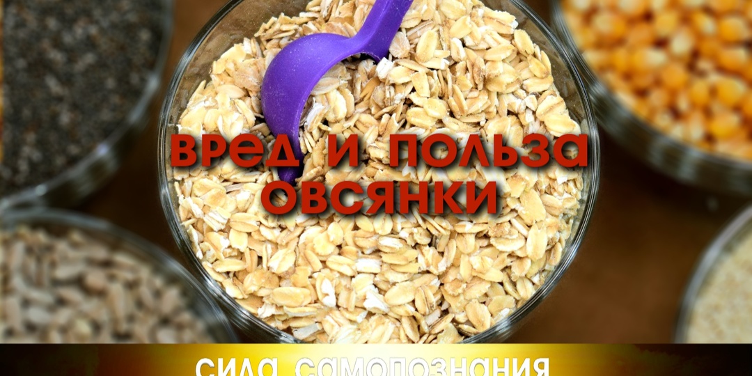 Как похудеть на овсянке. Чем не полезна (вредна) овсяная диета.