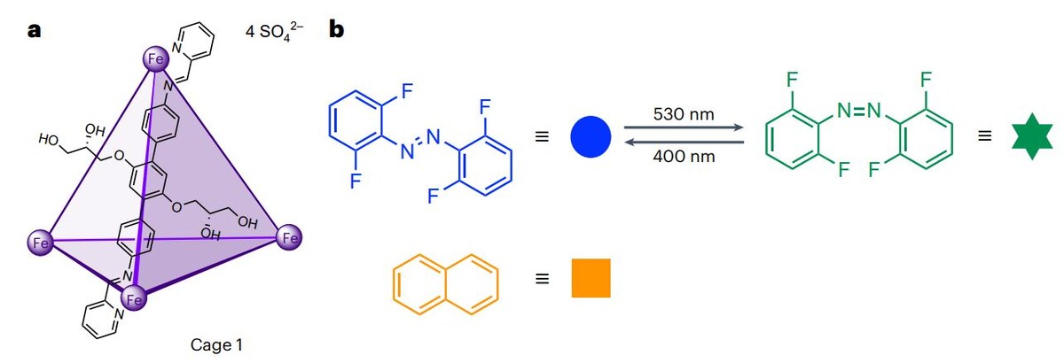   J. Pruchyathamkorn et al. / Nature Chemistry, 2024