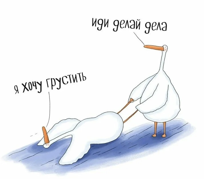 Из интернета 