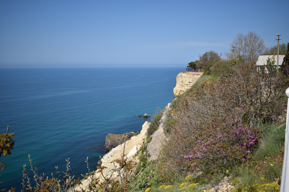 Фотография автора статьи.