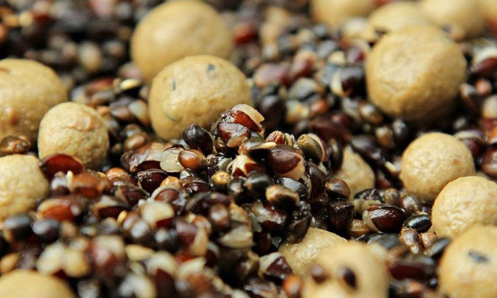 Фото с сайта: https://fishinfo.su/files/blog