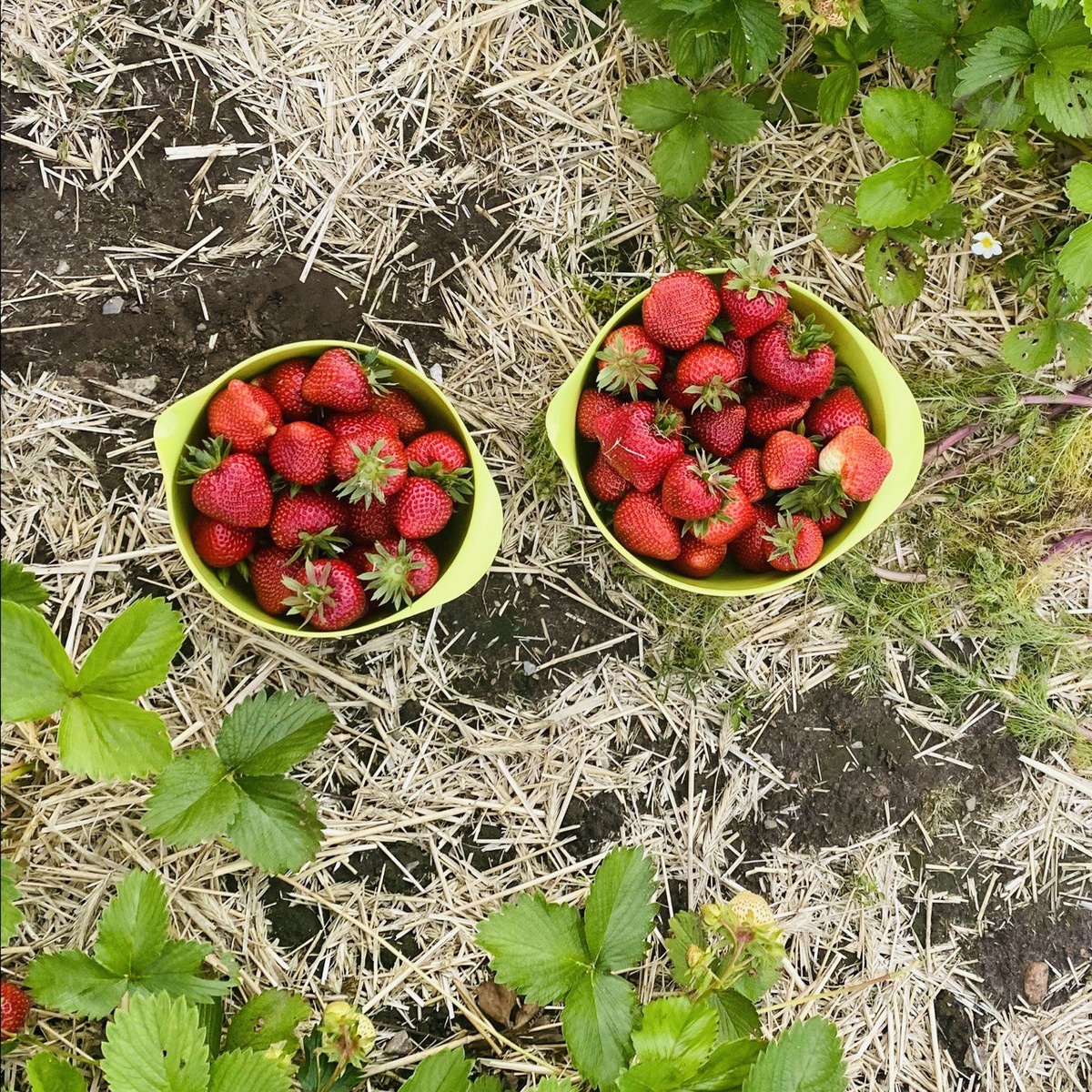    Фото из личного архива Екатерины Йенсен