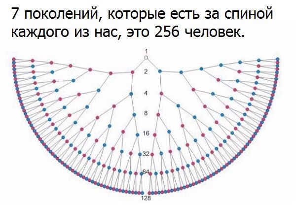 Картинка из интернета
