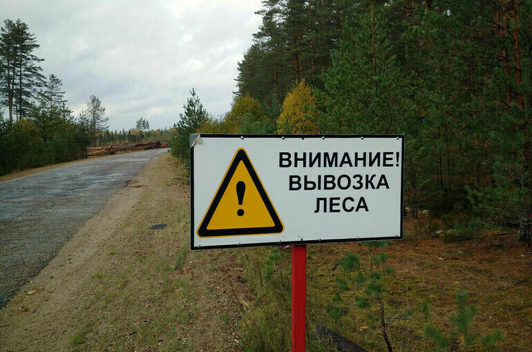   Игорь Самохвалов/ПГ