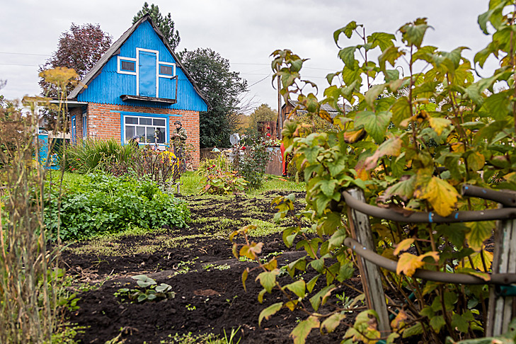    Фото Андрея Заржецкого