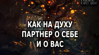 КАК НА ДУХУ. ПАРТНЕР О СЕБЕ И О ВАС 🔥 расклад 🔥 таро 🔥 гадание