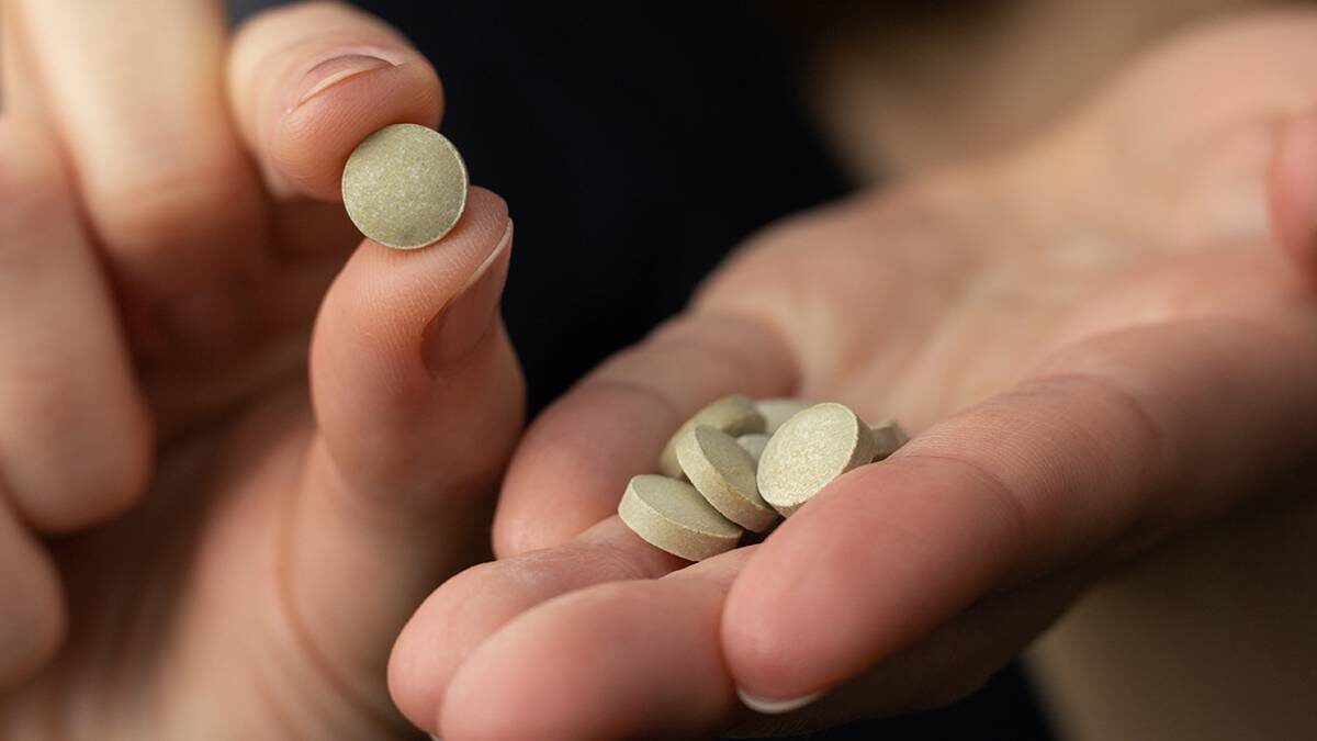    Фото: Shutterstock