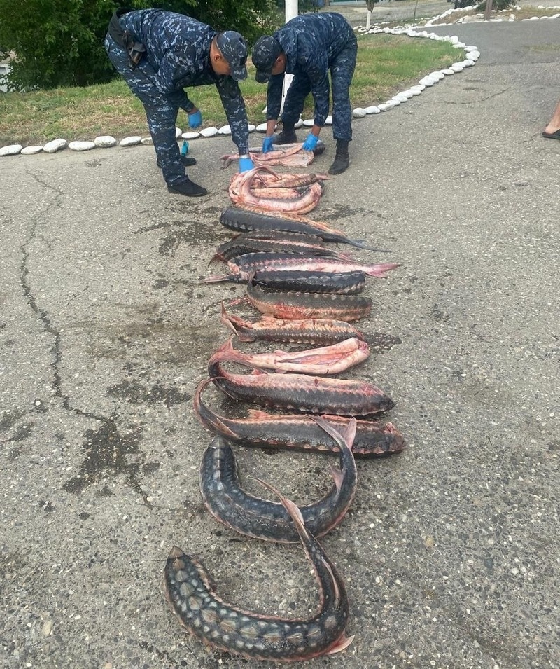      Фото: пресс-служба ГУ МВД России