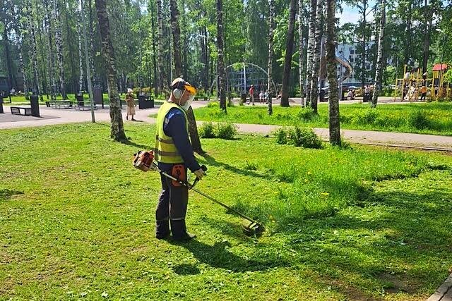 Фото: Администрация МО ГО "Сыктывкар"