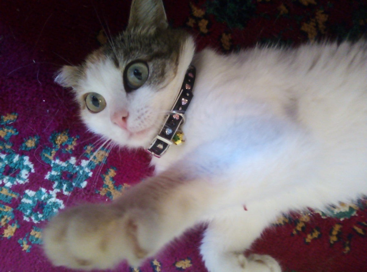 Из замарашки Злата превратилась в хорошенькую принцессу