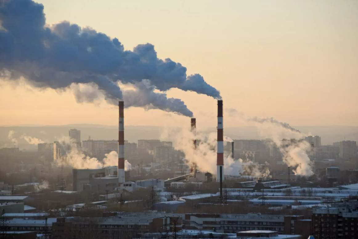 Фото: Smapse News: Образование и наука