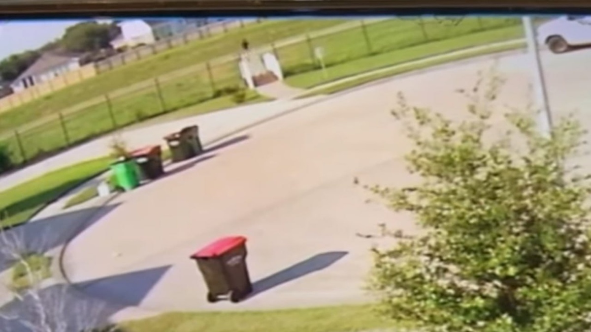 Фото: Соцсети