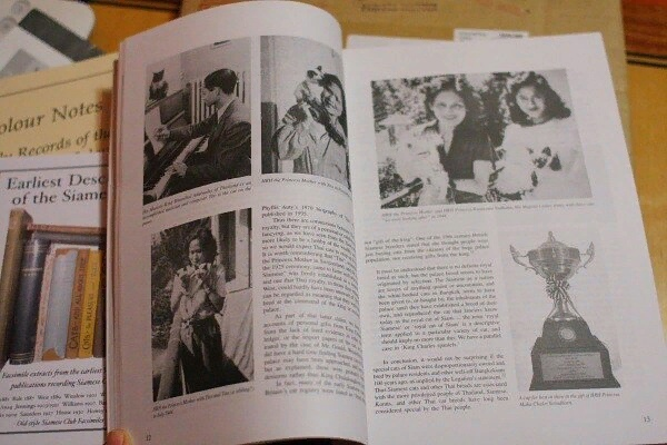 Фото Татьяны Ким