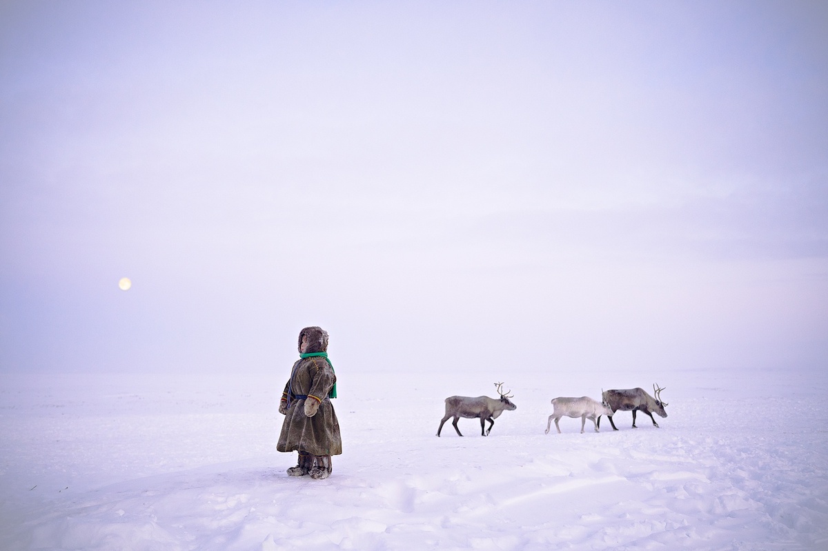     Категория «Повседневное спокойствие». Nicola Ducati, photoawards.com