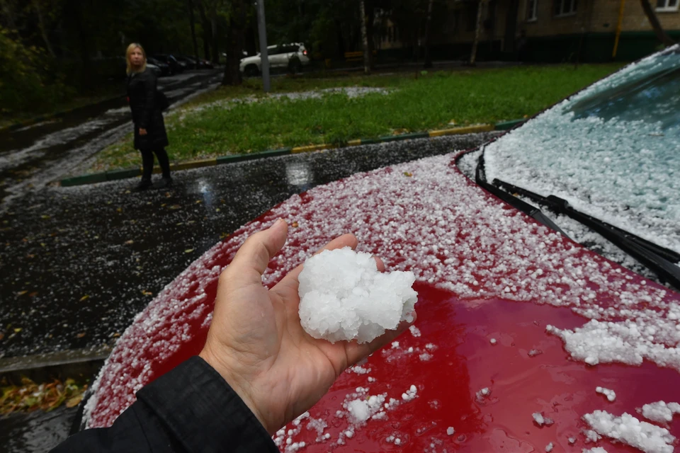 Фото: Владимир Веленгурин