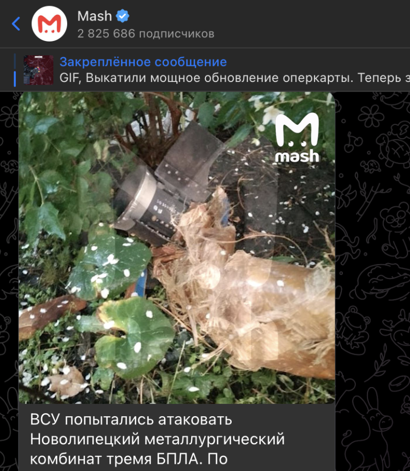    Скриншот: телеграм-канал Mash