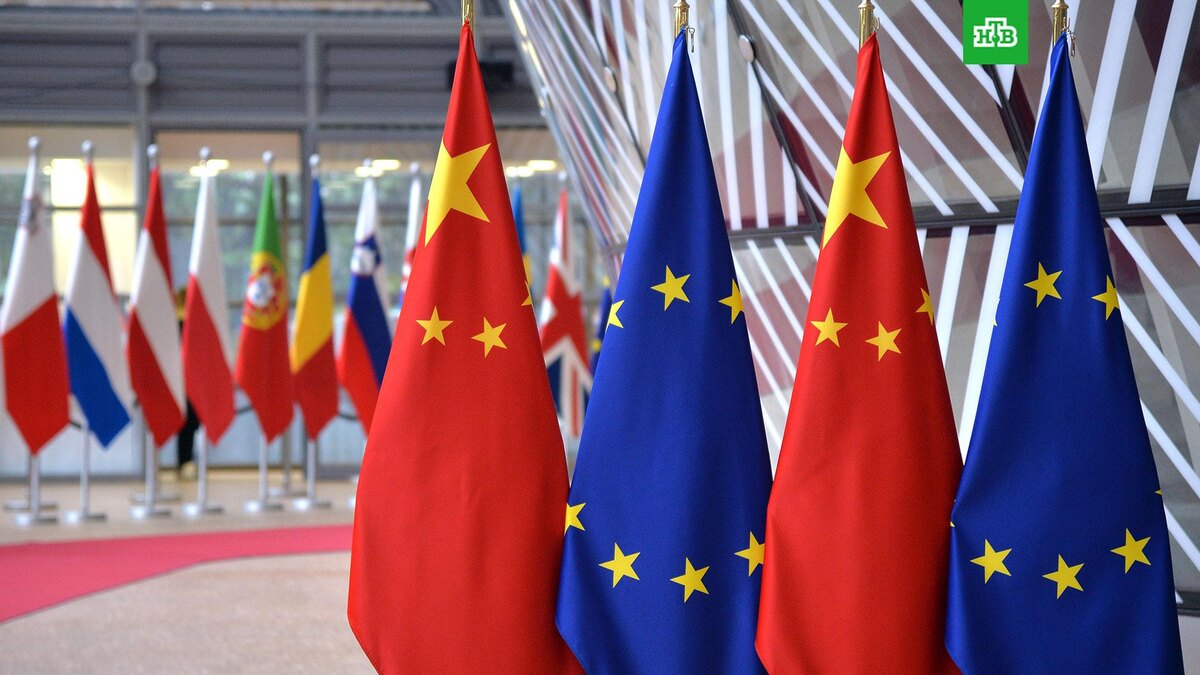    Фото: РИА Новости © 2024, Алексей Витвицкий