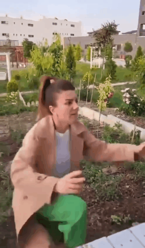 Видео из соцсетей