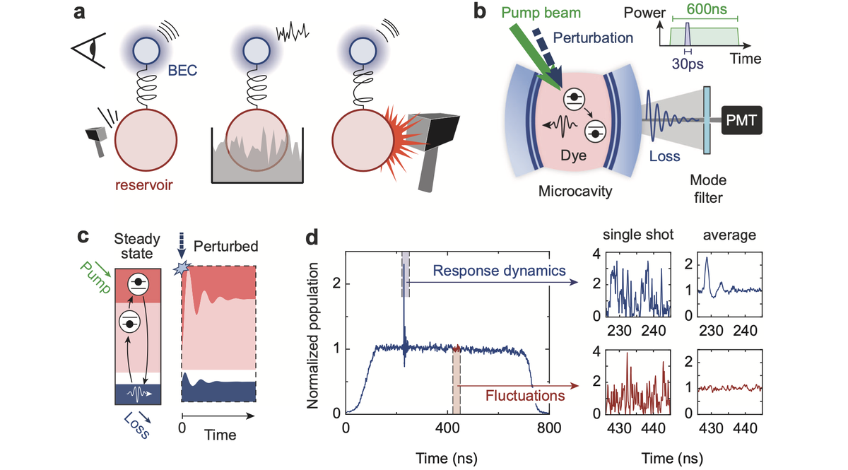   Alexander Sazhin et al. / Nature Communications, 2024