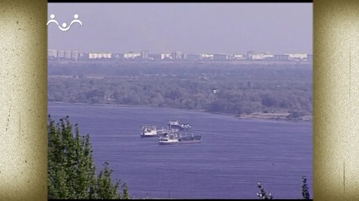 Своими глазами. Волгоград