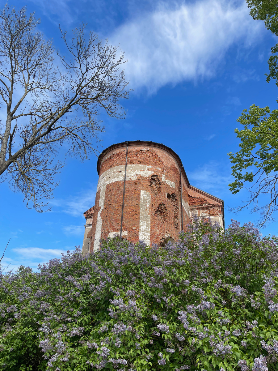 Костёл Непорочного Зачатия в Дисне, сейчас на реставрации