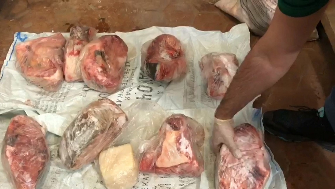 Стоп-кадр оперативного видео, снятого полицейскими Амурского района при обыске и изъятии незаконно добытой рыбы осетровых пород.