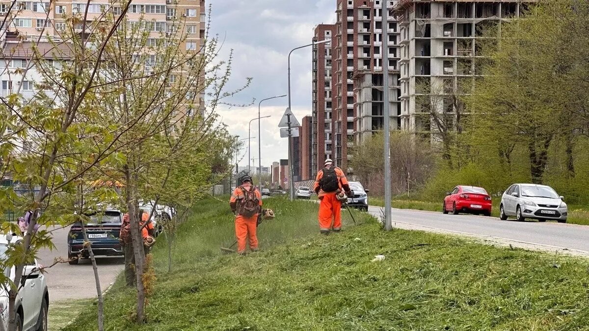     Автор: Администрация Краснодара