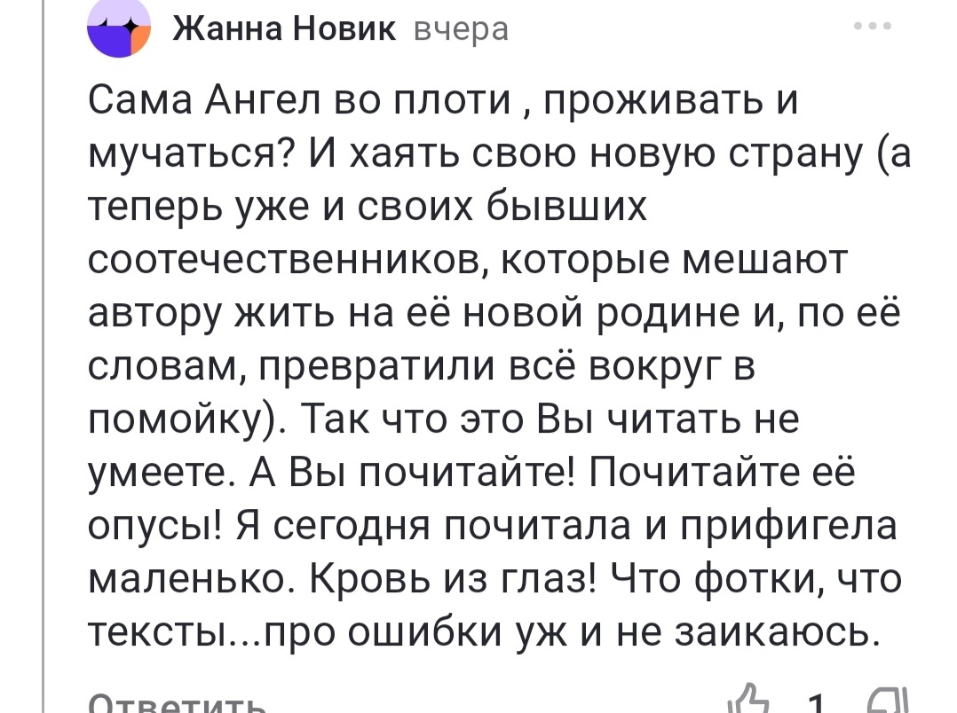 Культурные ответы на шикарные комметарии моих соотечественников. 🇷🇺💞🇷🇸  | Олесjа Перић. Сербская жизнь русской жены. | Дзен