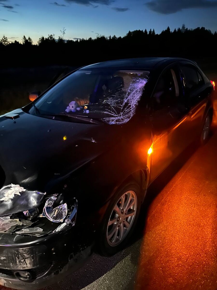    Автомобиль после столкновения с лосемФото из личного архива