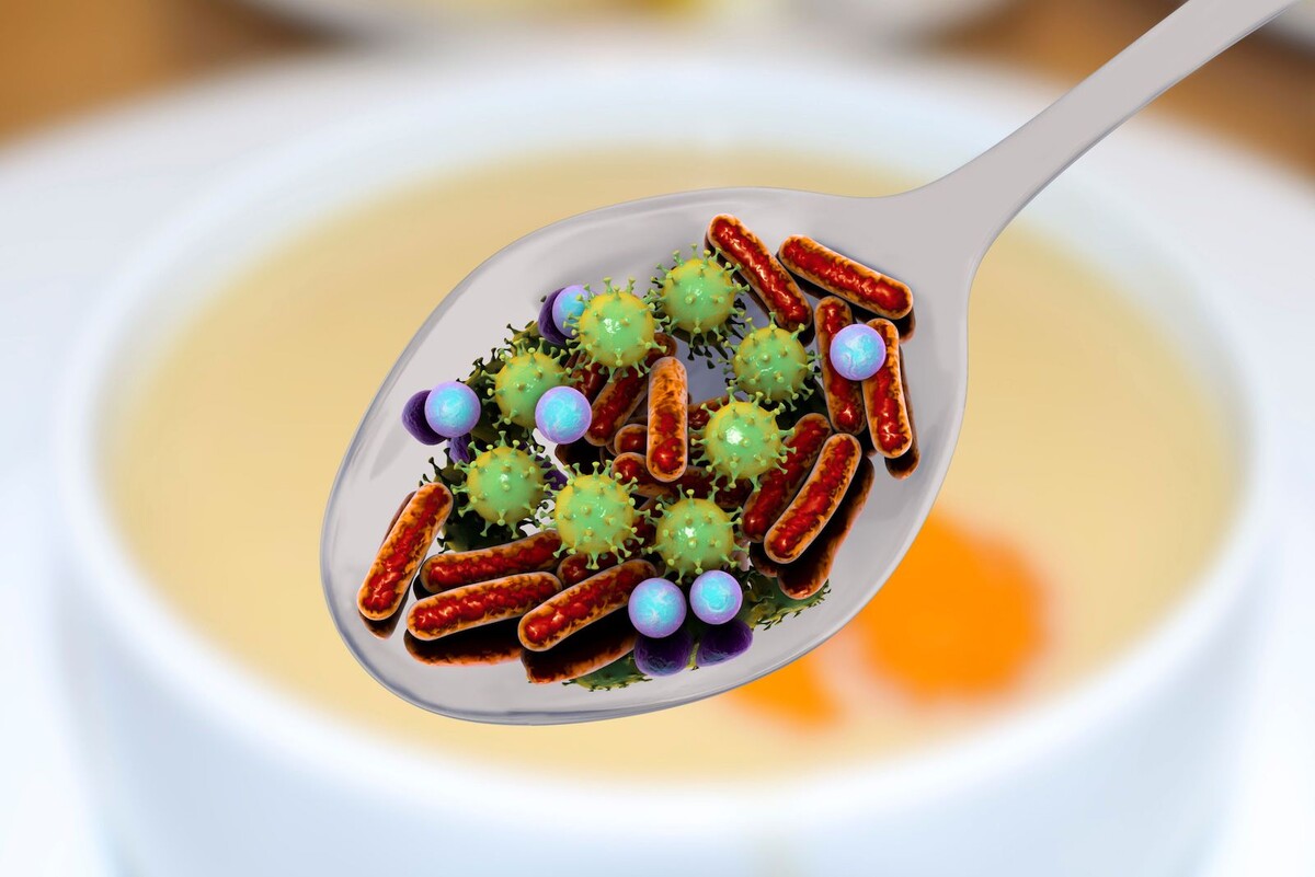 Источник фото: Canva 