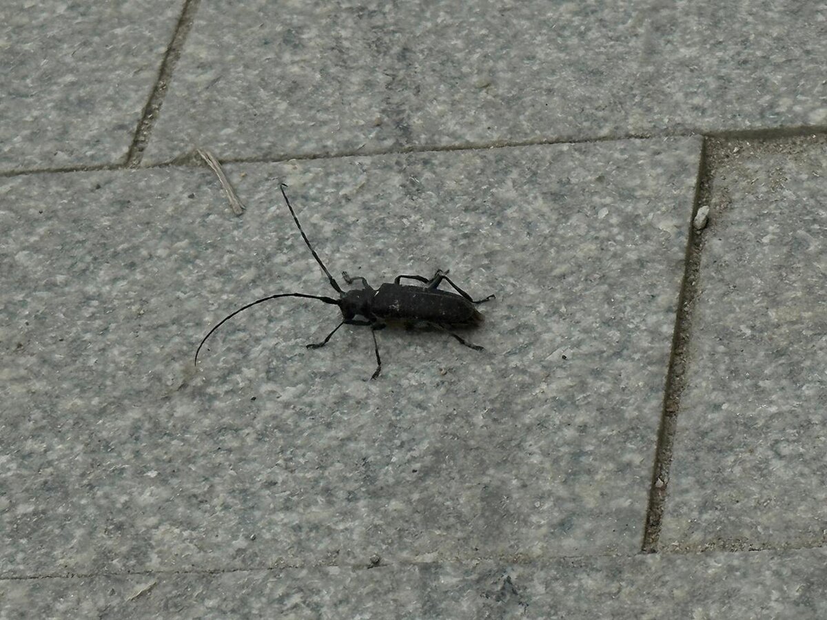 Фото: Иван Евсеев Карина Оконешникова  📷
