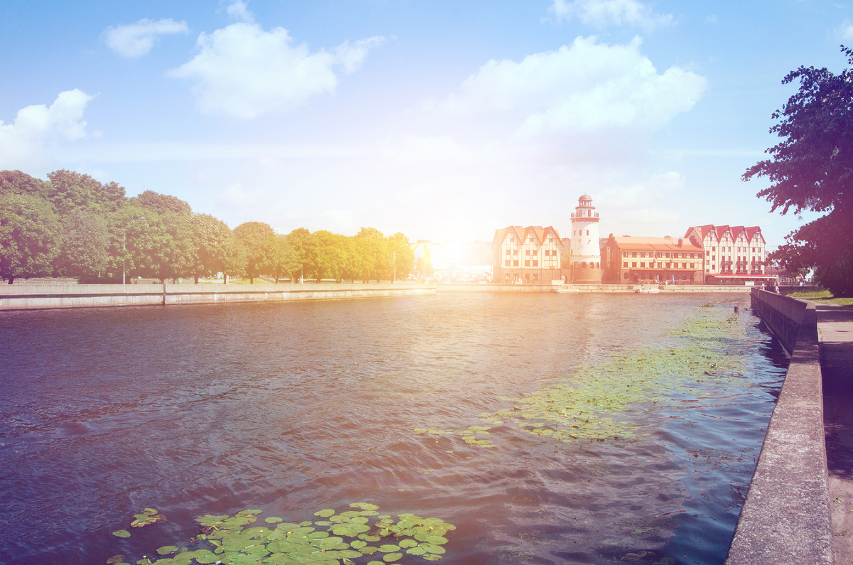 rvs1 / Фотобанк Фотодженика